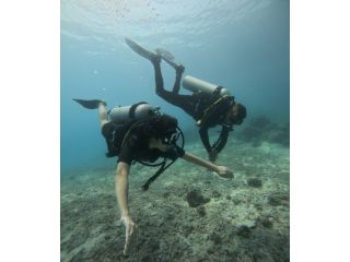 scuba-diving-in-havelock-to-unwind-a-hidden-underwater-paradise-small-1