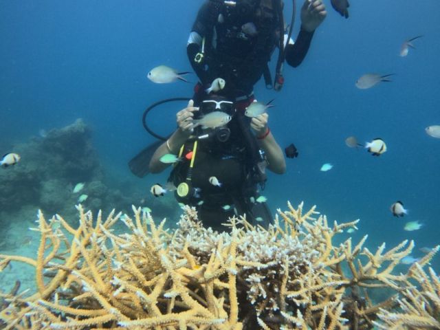 scuba-diving-in-havelock-to-unwind-a-hidden-underwater-paradise