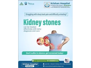 best-kidney-stone-doctor-in-rudrapur-small-0