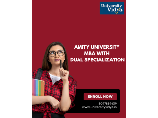 business-insights-amity-university-mba-with-dual-specialization-small-0