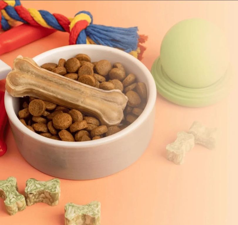 how-pet-parents-can-build-a-better-daily-routine-for-their-pets-big-0