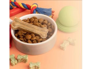 how-pet-parents-can-build-a-better-daily-routine-for-their-pets-small-0