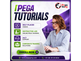 upgrade-your-skills-with-professional-pega-tutorials-in-hyderabad-small-0