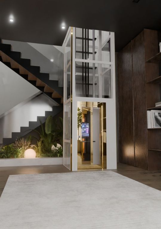 gearless-home-lift-for-safe-silent-mobility-big-0