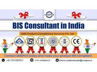 best-bis-consultants-in-india-in-2026-small-0