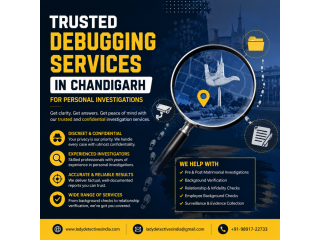 trusted-debugging-services-in-chandigarh-for-personal-small-0