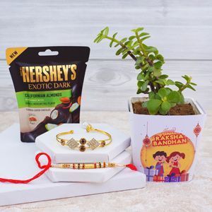 send-rakhi-to-andhra-pradesh-with-fast-online-delivery-big-0