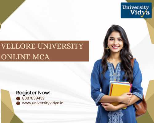 software-architect-vellore-university-online-mca-big-0