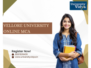 software-architect-vellore-university-online-mca-small-0