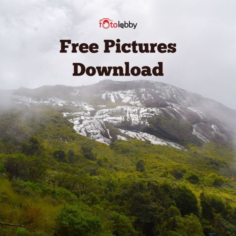 free-pictures-download-by-fotolobby-gurgaon-big-0