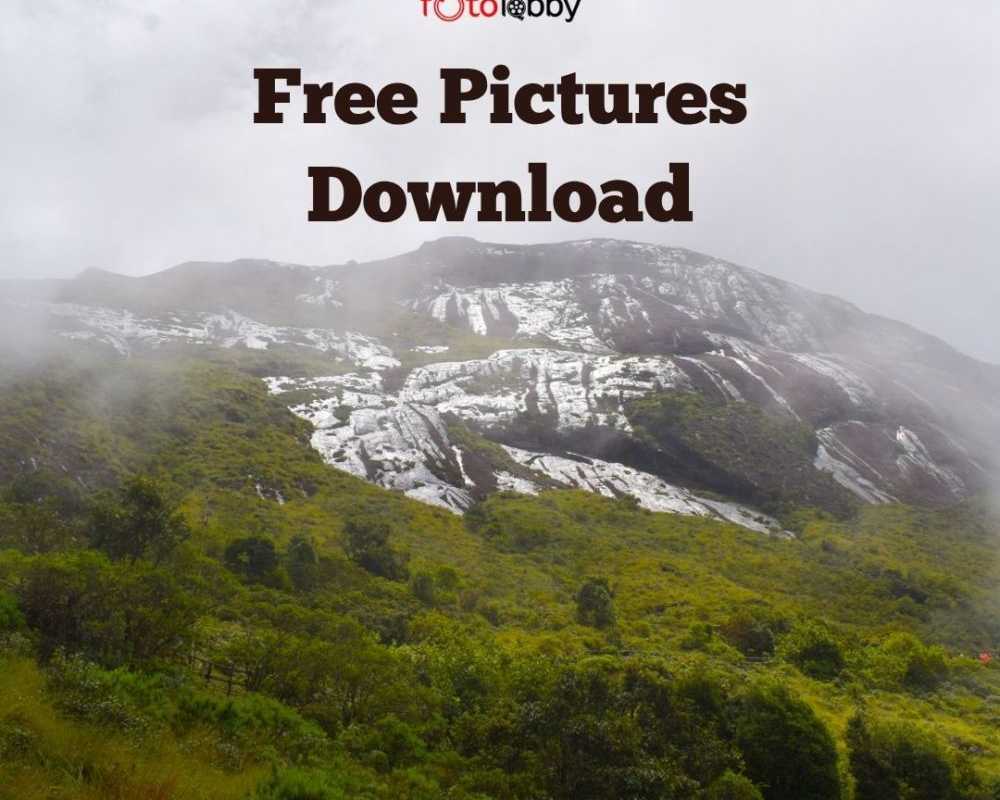 free-pictures-download-by-fotolobby-gurgaon