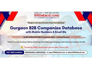 gurgaon-b2b-leads-database-verified-ready-to-use-small-0