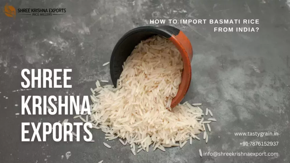 how-to-import-basmati-rice-from-india-big-0
