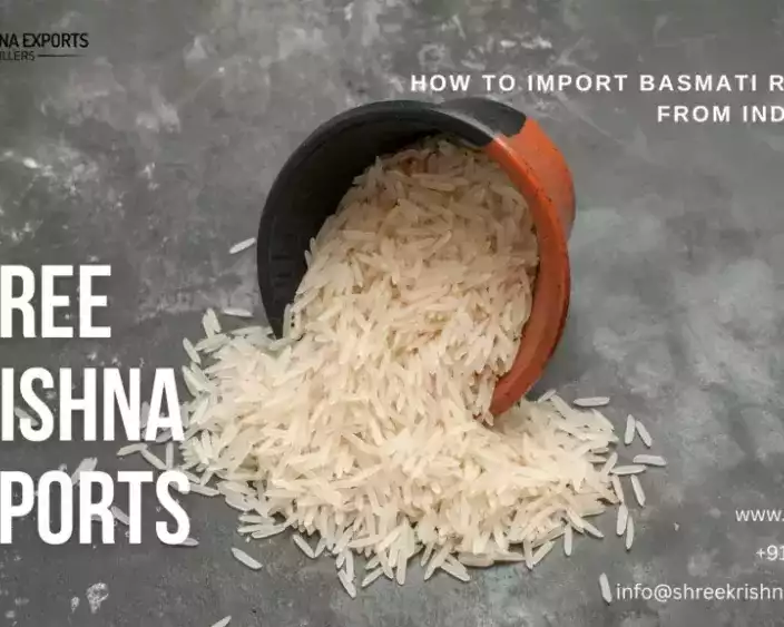 how-to-import-basmati-rice-from-india