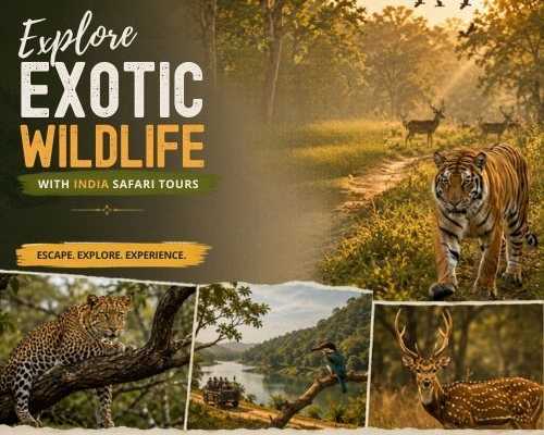 explore-exotic-wildlife-with-india-safari-tours