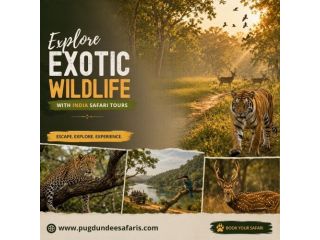 explore-exotic-wildlife-with-india-safari-tours-small-0