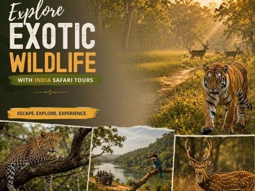 explore-exotic-wildlife-with-india-safari-tours