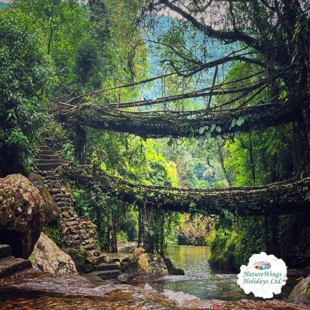 experience-the-northeast-india-premium-north-east-tour-package-big-2