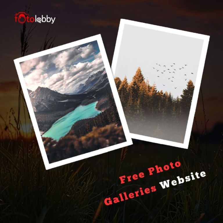 free-photo-galleries-website-by-fotolobby-gurgaon-big-0