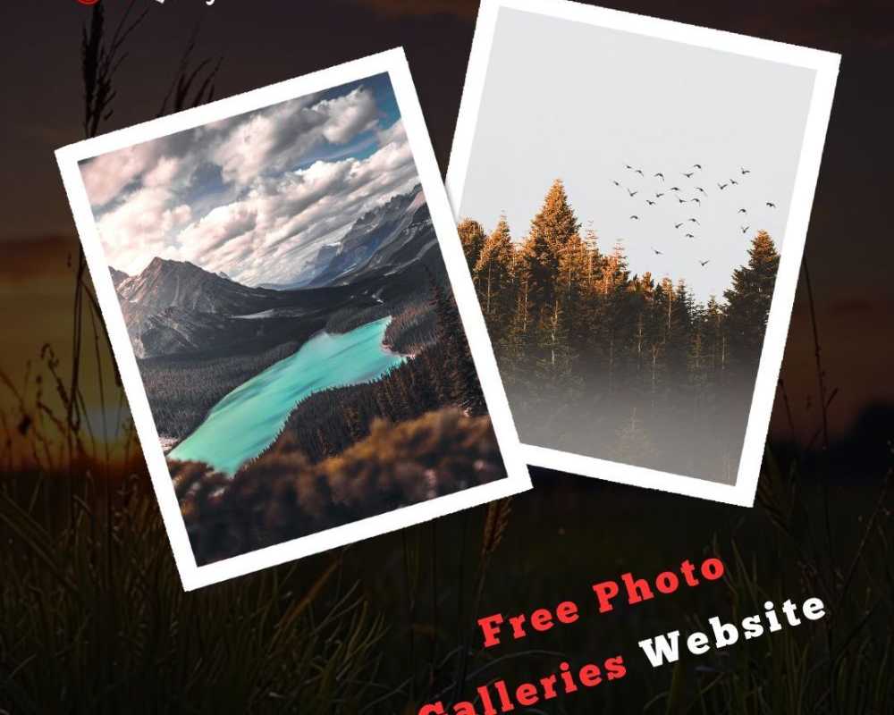 free-photo-galleries-website-by-fotolobby-gurgaon