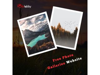 free-photo-galleries-website-by-fotolobby-gurgaon-small-0