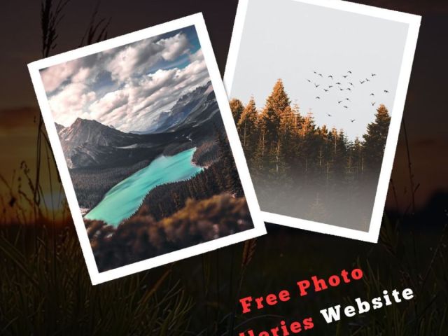 free-photo-galleries-website-by-fotolobby-gurgaon
