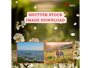 shutter-stock-image-download-by-fotolobby-gurgaon-small-0