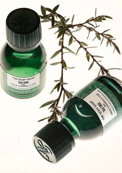 refresh-your-skin-naturally-with-tea-tree-oil-online-big-0