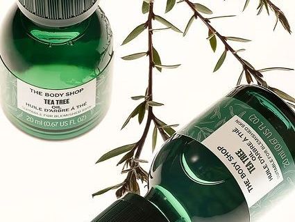 refresh-your-skin-naturally-with-tea-tree-oil-online