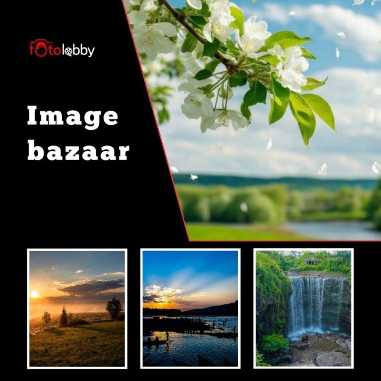 image-bazaar-by-fotolobby-gurgaon-big-0
