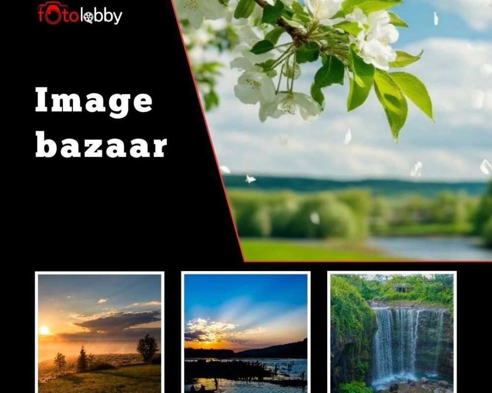 image-bazaar-by-fotolobby-gurgaon