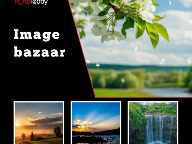 image-bazaar-by-fotolobby-gurgaon