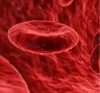 hematologist-in-hyderabad-big-0