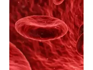 hematologist-in-hyderabad-small-0