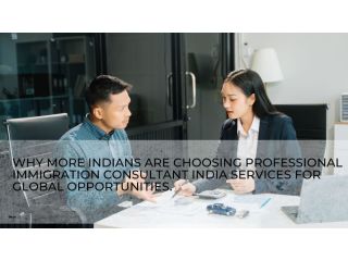 professional-immigration-services-small-0