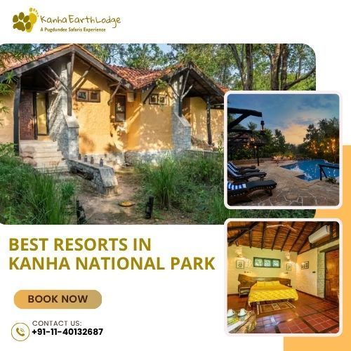 eco-luxe-resort-in-kanha-national-park-big-0
