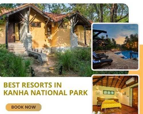 eco-luxe-resort-in-kanha-national-park