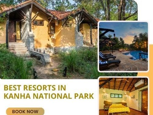 eco-luxe-resort-in-kanha-national-park