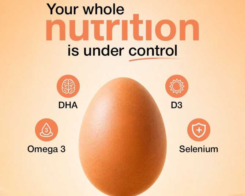 nutritional-value-of-d3-enriched-eggs-explained