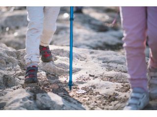 strong-support-vissco-walking-stick-medi-aid-xpert-small-0