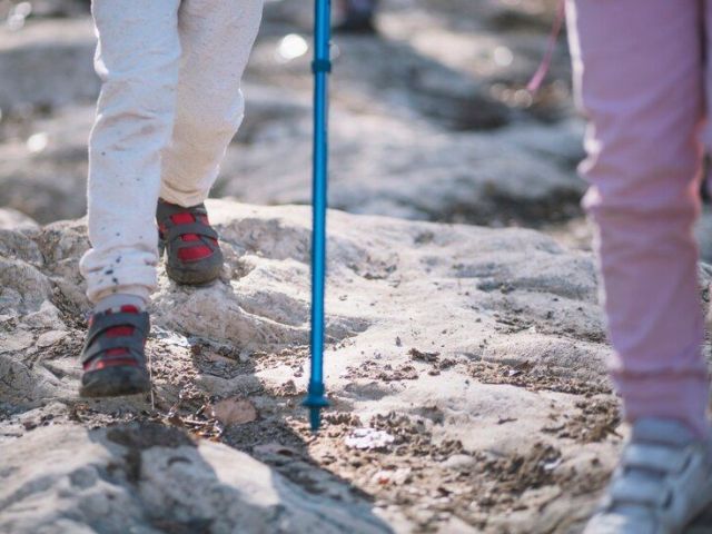 strong-support-vissco-walking-stick-medi-aid-xpert