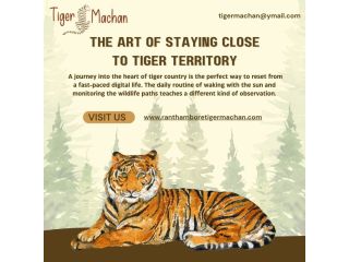 the-art-of-staying-close-to-tiger-territory-small-0