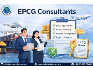 expert-epcg-consultants-exim-advisory-small-0
