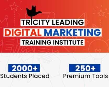 seo-training-in-chandigarh-by-webhopers-academy