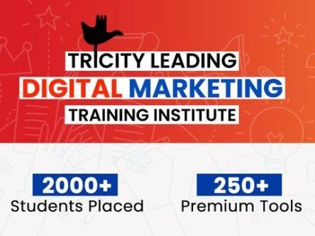 seo-training-in-chandigarh-by-webhopers-academy