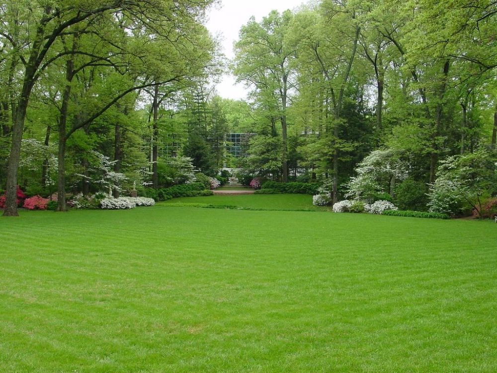 premium-lawn-solutions-for-beautiful-green-outdoor-spaces-big-0