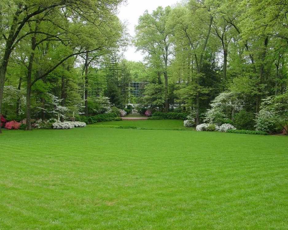 premium-lawn-solutions-for-beautiful-green-outdoor-spaces