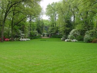 premium-lawn-solutions-for-beautiful-green-outdoor-spaces-small-0
