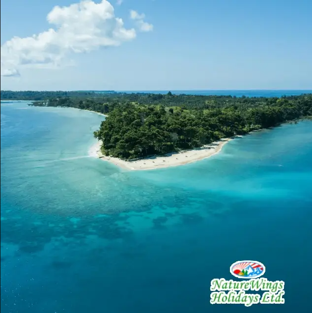andaman-tour-package-from-kolkata-2026-naturewings-holidays-big-3