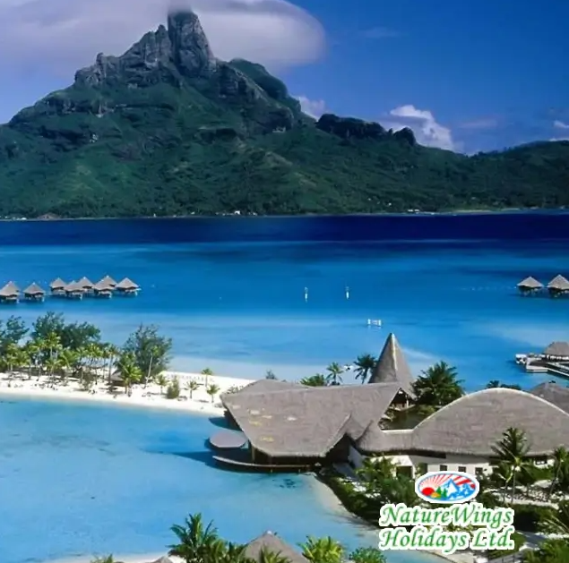 andaman-tour-package-from-kolkata-2026-naturewings-holidays-big-4